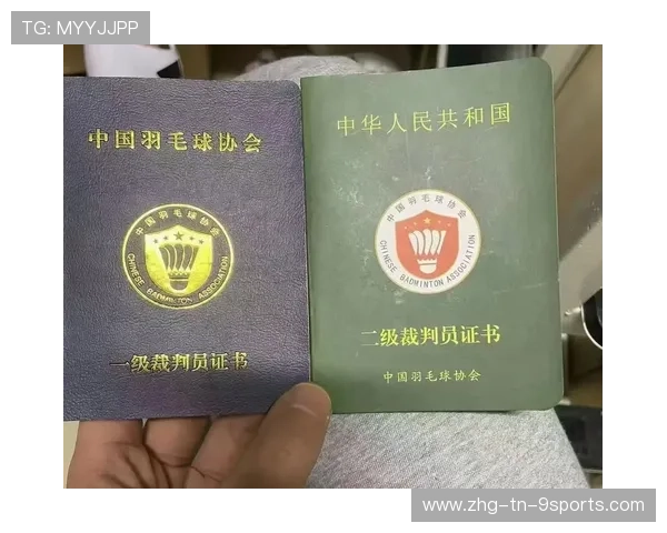 裁判员线上判罚案例库公开，让培训更科学更透明，裁判网是什么