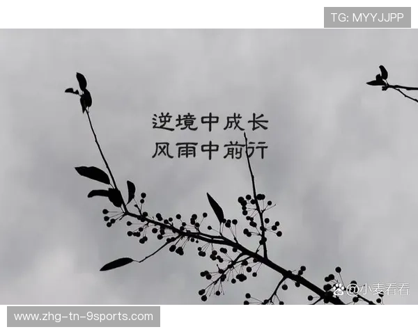 逆境中成长,追求更高的突破!,逆境中成长的示例 逆境中成长,追求更高的突破!,逆境中成长的示例